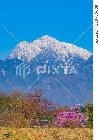 【山梨県】神代地区の桜と冠雪した甲斐駒ヶ岳 129735609