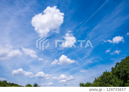 気持ちいい青空と白い雲【風景・背景素材】 気持ちいい青空と白い雲【風景・背景素材】 129735657