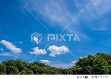 気持ちいい青空と白い雲【風景・背景素材】 129735666
