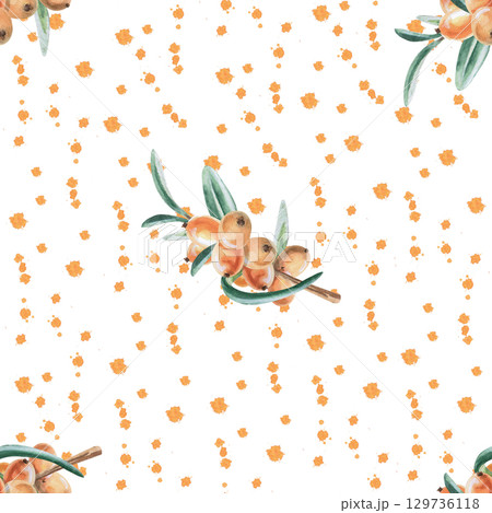 Seamless pattern with branches of ripe, juicy sea buckthorn splashes. Watercolor illustration for packaging design, printing on fabric and kitchen textiles, dishes. 129736118