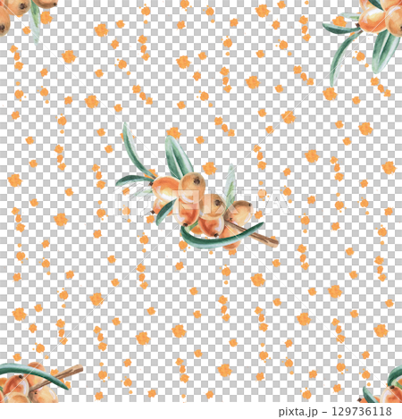 Seamless pattern with branches of ripe, juicy sea buckthorn splashes. Watercolor illustration for packaging design, printing on fabric and kitchen textiles, dishes. 129736118