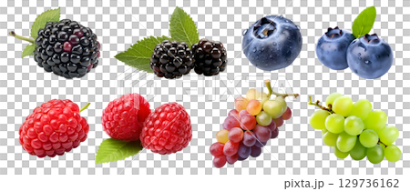 Collection of berry berries family fruits, blackberry, blueberry, raspberry, grape on transparent background cutout, PNG file. Mockup template for artwork design Collection of berry berries family fruits, blackberry, blueberry, raspberry, grape on transparent background cutout, PNG file. Mockup template for artwork design 129736162