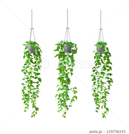 decorative flower in a pot isolate on a transparent background, 3D illustration, cg render 129736241