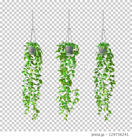 decorative flower in a pot isolate on a transparent background, 3D illustration, cg render 129736241