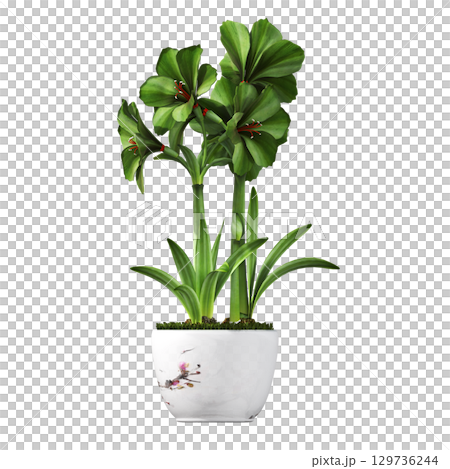 decorative flower in a pot isolate on a transparent background, 3D illustration, cg render 129736244