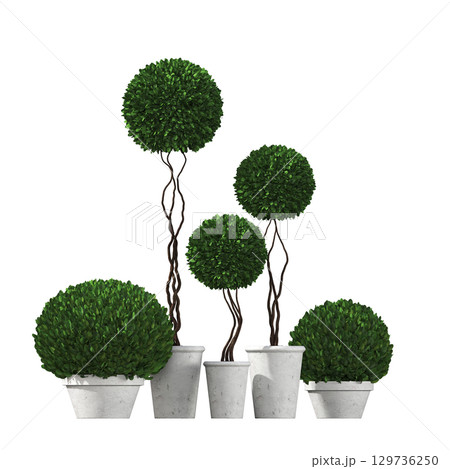 decorative flower in a pot isolate on a transparent background, 3D illustration, cg render decorative flower in a pot isolate on a transparent background, 3D illustration, cg render 129736250