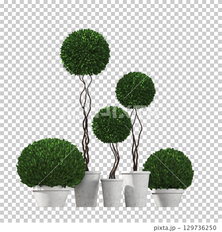 decorative flower in a pot isolate on a transparent background, 3D illustration, cg render decorative flower in a pot isolate on a transparent background, 3D illustration, cg render 129736250