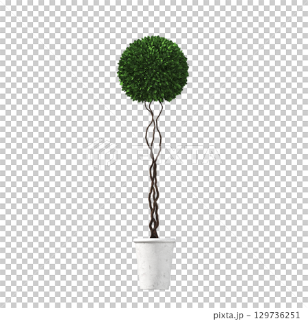 decorative flower in a pot isolate on a transparent background, 3D illustration, cg render 129736251