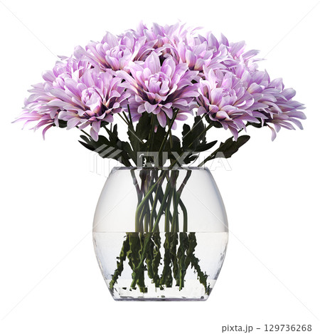 decorative flower in a pot isolate on a transparent background, 3D illustration, cg render 129736268