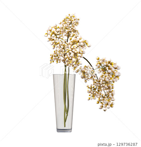 decorative flower in a pot isolate on a transparent background, 3D illustration, cg render 129736287