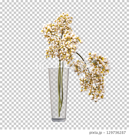 decorative flower in a pot isolate on a transparent background, 3D illustration, cg render 129736287
