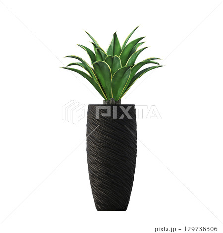 decorative flower in a pot isolate on a transparent background, 3D illustration, cg render decorative flower in a pot isolate on a transparent background, 3D illustration, cg render 129736306