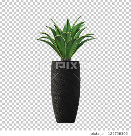 decorative flower in a pot isolate on a transparent background, 3D illustration, cg render decorative flower in a pot isolate on a transparent background, 3D illustration, cg render 129736306