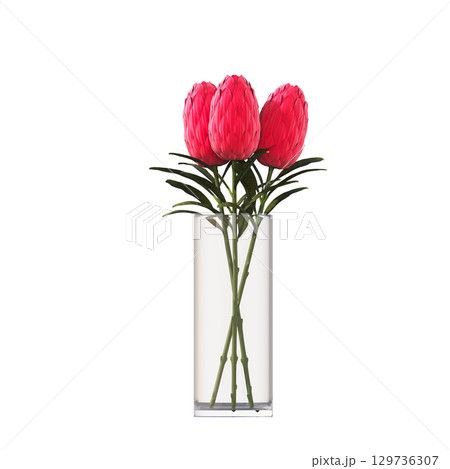 decorative flower in a pot isolate on a transparent background, 3D illustration, cg render decorative flower in a pot isolate on a transparent background, 3D illustration, cg render 129736307