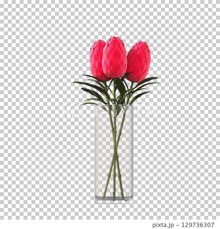 decorative flower in a pot isolate on a transparent background, 3D illustration, cg render decorative flower in a pot isolate on a transparent background, 3D illustration, cg render 129736307