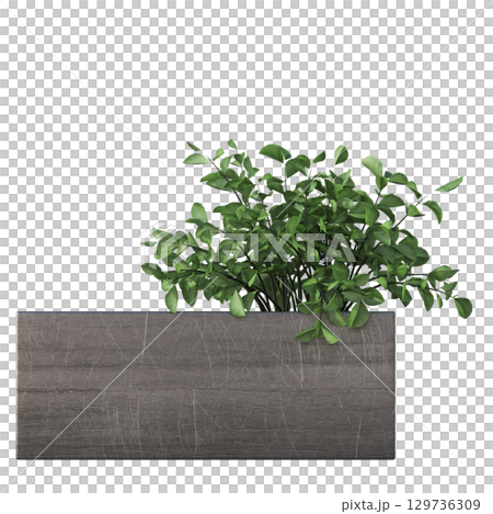 decorative flower in a pot isolate on a transparent background, 3D illustration, cg render decorative flower in a pot isolate on a transparent background, 3D illustration, cg render 129736309