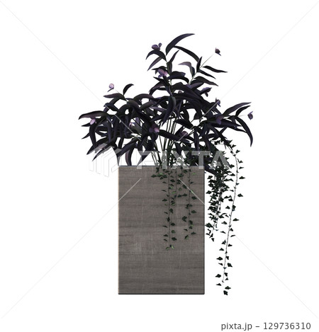 decorative flower in a pot isolate on a transparent background, 3D illustration, cg render decorative flower in a pot isolate on a transparent background, 3D illustration, cg render 129736310