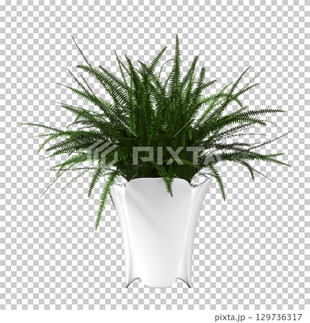 decorative flower in a pot isolate on a transparent background, 3D illustration, cg render 129736317