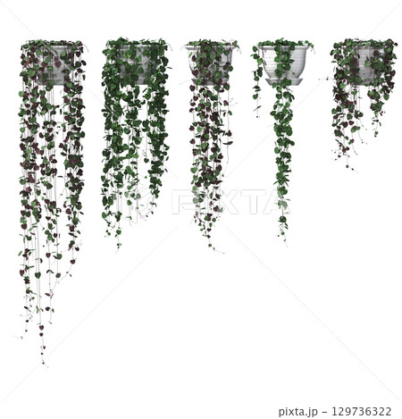 decorative flower in a pot isolate on a transparent background, 3D illustration, cg render 129736322