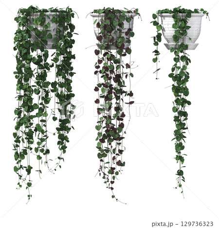 decorative flower in a pot isolate on a transparent background, 3D illustration, cg render 129736323
