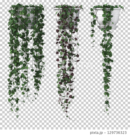 decorative flower in a pot isolate on a transparent background, 3D illustration, cg render 129736323