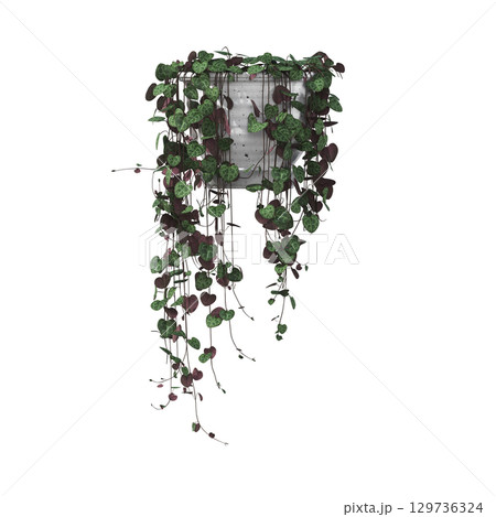 decorative flower in a pot isolate on a transparent background, 3D illustration, cg render 129736324