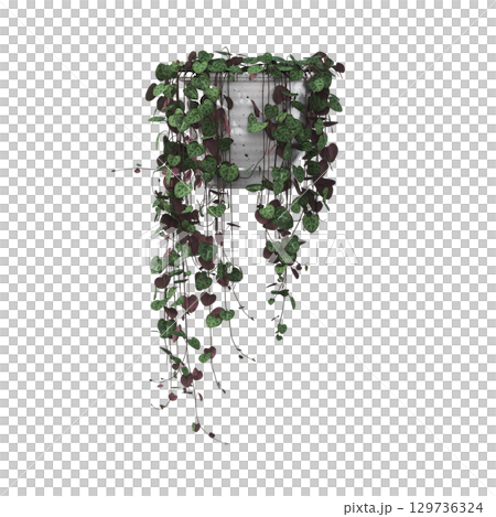 decorative flower in a pot isolate on a transparent background, 3D illustration, cg render 129736324