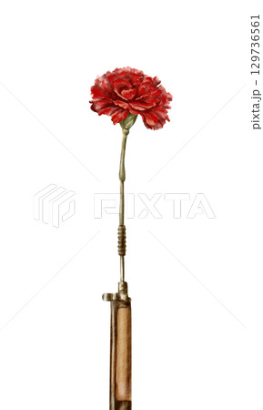 A vintage red carnation flower inside a rifle barrel,symbolizing the peaceful revolution and overthrow of dictatorship in Portugal (1974).Hand drawn watercolor illustration isolated on white A vintage red carnation flower inside a rifle barrel,symbolizing the peaceful revolution and overthrow of dictatorship in Portugal (1974).Hand drawn watercolor illustration isolated on white 129736561