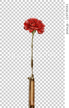 A vintage red carnation flower inside a rifle barrel,symbolizing the peaceful revolution and overthrow of dictatorship in Portugal (1974).Hand drawn watercolor illustration isolated on white A vintage red carnation flower inside a rifle barrel,symbolizing the peaceful revolution and overthrow of dictatorship in Portugal (1974).Hand drawn watercolor illustration isolated on white 129736561