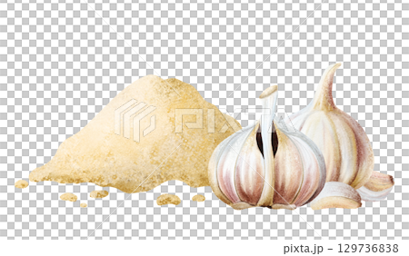 Garlic with cloves and ground powder watercolor illustration. Pile of dry spice for cooking and traditional medicine recipes. Minced seasoning for culinary designs. Healthy food hand drawn clip art Garlic with cloves and ground powder watercolor illustration. Pile of dry spice for cooking and traditional medicine recipes. Minced seasoning for culinary designs. Healthy food hand drawn clip art 129736838