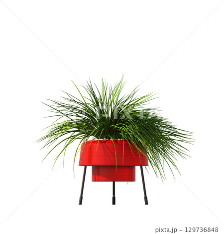 decorative flower in a pot isolate on a transparent background, 3D illustration, cg render 129736848