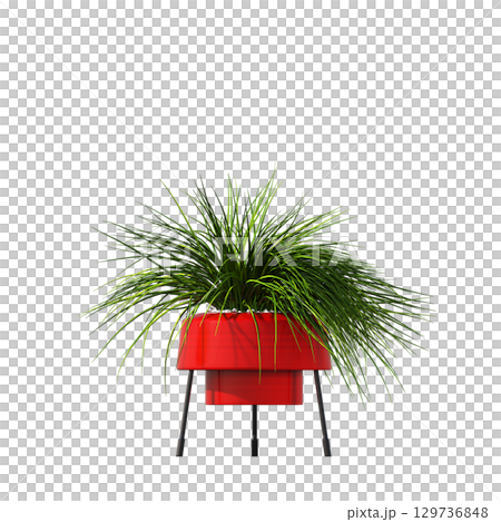 decorative flower in a pot isolate on a transparent background, 3D illustration, cg render 129736848