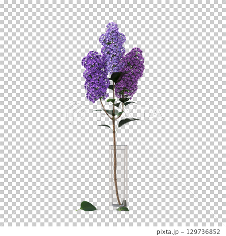 decorative flower in a pot isolate on a transparent background, 3D illustration, cg render decorative flower in a pot isolate on a transparent background, 3D illustration, cg render 129736852