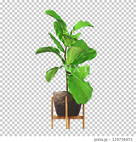 decorative flower in a pot isolate on a transparent background, 3D illustration, cg render 129736855