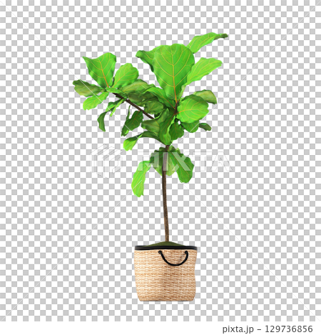 decorative flower in a pot isolate on a transparent background, 3D illustration, cg render 129736856