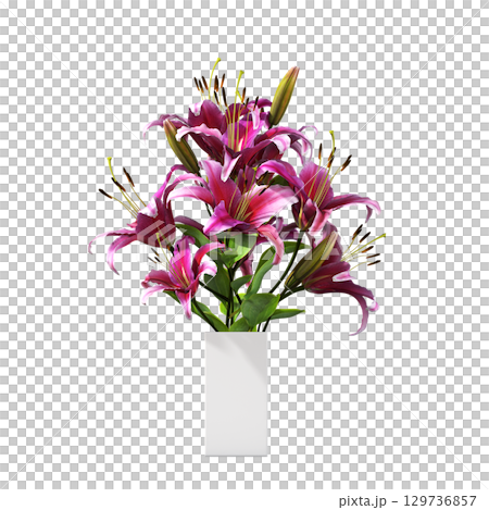 decorative flower in a pot isolate on a transparent background, 3D illustration, cg render 129736857