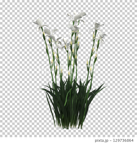 decorative flower in a pot isolate on a transparent background, 3D illustration, cg render 129736864