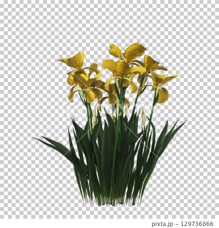 decorative flower in a pot isolate on a transparent background, 3D illustration, cg render 129736866