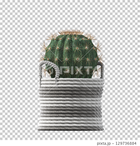 decorative flower in a pot isolate on a transparent background, 3D illustration, cg render 129736884