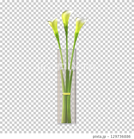 decorative flower in a pot isolate on a transparent background, 3D illustration, cg render 129736886
