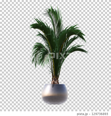 decorative flower in a pot isolate on a transparent background, 3D illustration, cg render decorative flower in a pot isolate on a transparent background, 3D illustration, cg render 129736893
