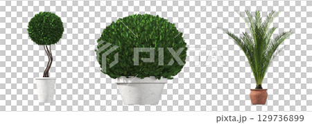 decorative flower in a pot isolate on a transparent background, 3D illustration, cg render 129736899