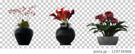decorative flower in a pot isolate on a transparent background, 3D illustration, cg render 129736906