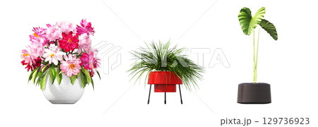 decorative flower in a pot isolate on a transparent background, 3D illustration, cg render decorative flower in a pot isolate on a transparent background, 3D illustration, cg render 129736923