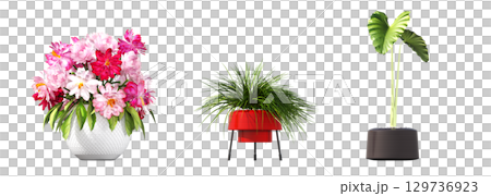 decorative flower in a pot isolate on a transparent background, 3D illustration, cg render decorative flower in a pot isolate on a transparent background, 3D illustration, cg render 129736923