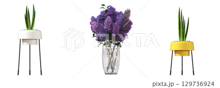 decorative flower in a pot isolate on a transparent background, 3D illustration, cg render decorative flower in a pot isolate on a transparent background, 3D illustration, cg render 129736924