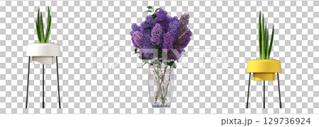 decorative flower in a pot isolate on a transparent background, 3D illustration, cg render 129736924