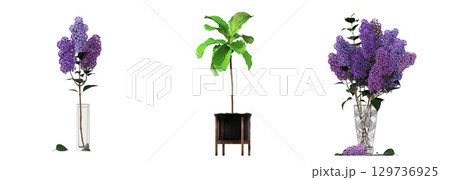 decorative flower in a pot isolate on a transparent background, 3D illustration, cg render decorative flower in a pot isolate on a transparent background, 3D illustration, cg render 129736925