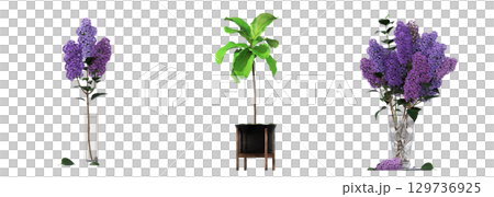 decorative flower in a pot isolate on a transparent background, 3D illustration, cg render decorative flower in a pot isolate on a transparent background, 3D illustration, cg render 129736925