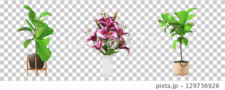 decorative flower in a pot isolate on a transparent background, 3D illustration, cg render 129736926